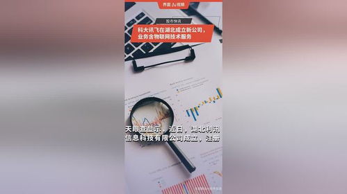 科大訊飛在湖北成立新公司，拓展物聯(lián)網(wǎng)技術(shù)服務(wù)版圖